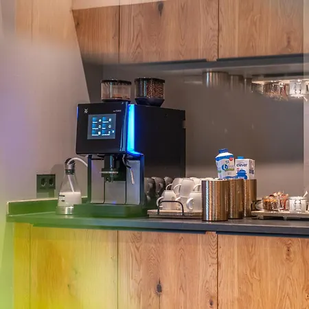 Stadtvilla Boutiquehotel 斯拉德明