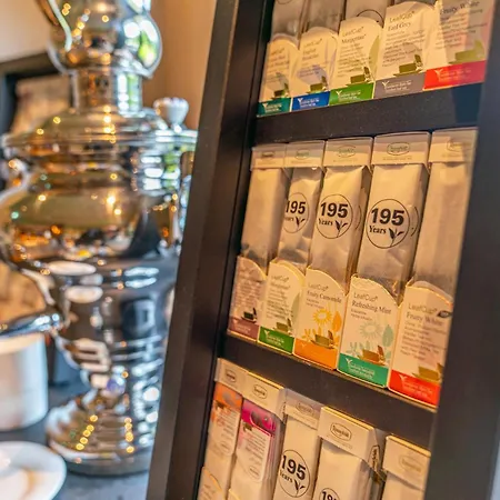 Stadtvilla Boutiquehotel 酒店 斯拉德明