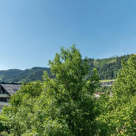 酒店 Stadtvilla Boutiquehotel 斯拉德明