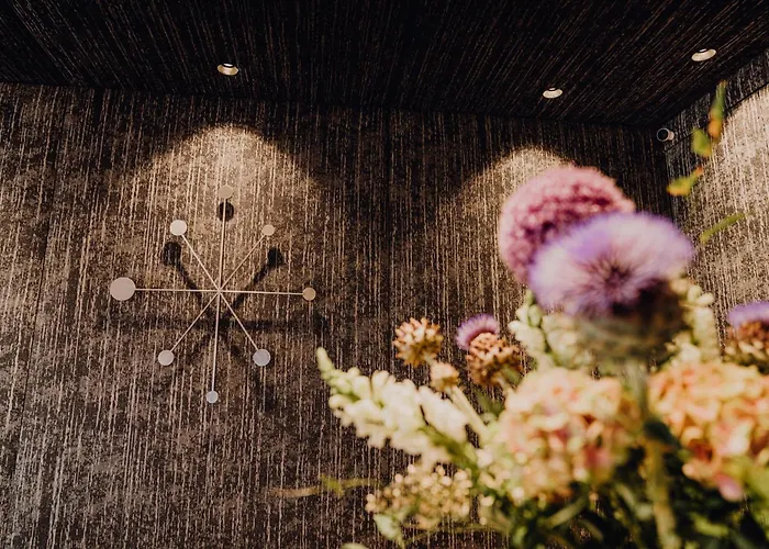 Stadtvilla Boutiquehotel 3* שלאדמינג