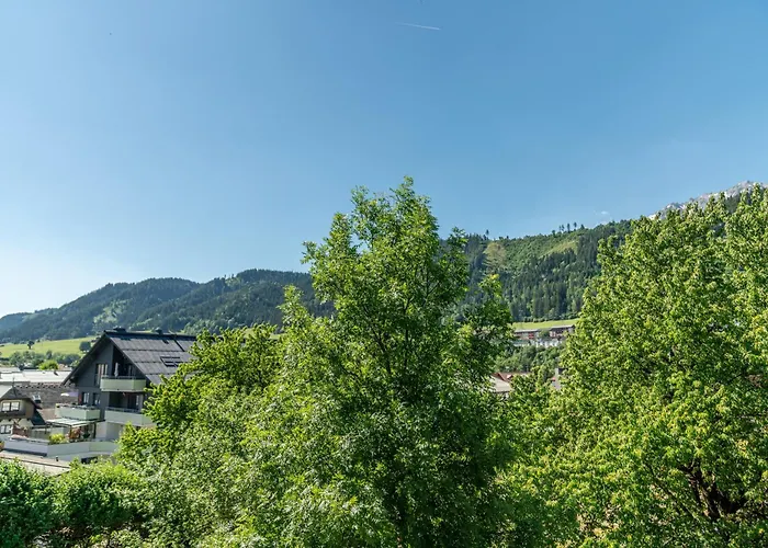 酒店 Stadtvilla Boutiquehotel 斯拉德明