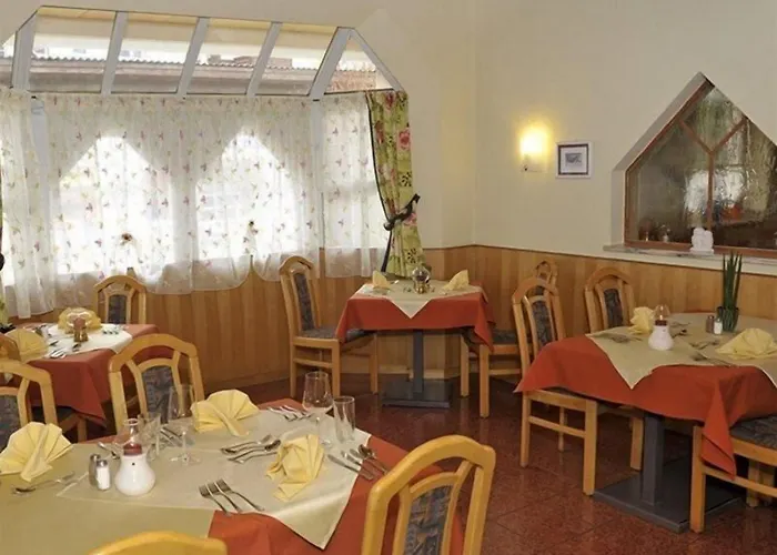 酒店 Stadtvilla Boutiquehotel 斯拉德明